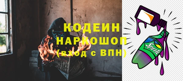 меф Вяземский