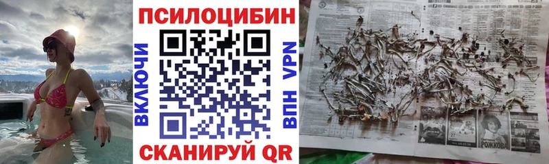Галлюциногенные грибы мицелий  Дербент 