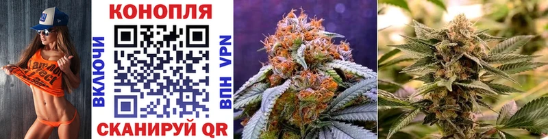 Бошки Шишки конопля  Дербент 
